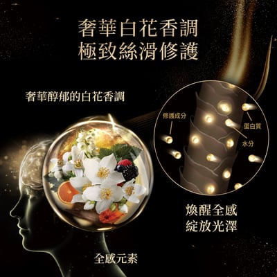 【SHISEIDO PROFESSIONAL 資生堂專業美髮】時韻黑妍系列5
