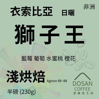 衣索比亞 古吉 安格斯獅子王 日曬處理1