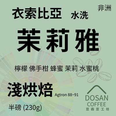 衣索比亞 西達馬 茉莉雅/檸檬花蜜  水洗1