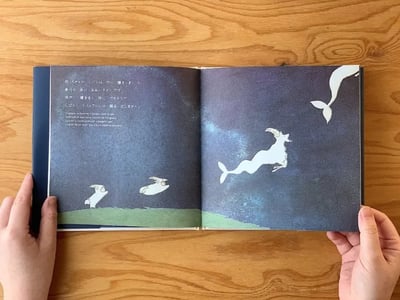 繪本《收集種子的少年》『種をあつめる少年』7