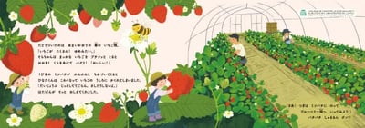 繪本《早餐的種子》『あさごはんのたね』7