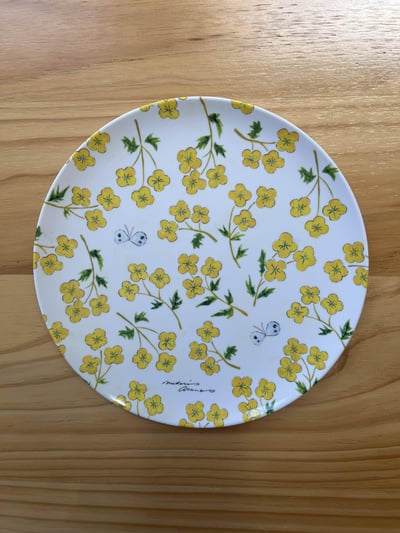 淺野綠 Midori Asano  盤子 quiet afternoon1