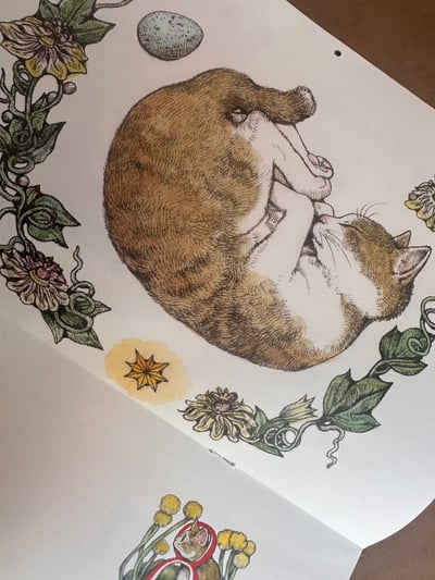 2026年2月MOE雜誌4