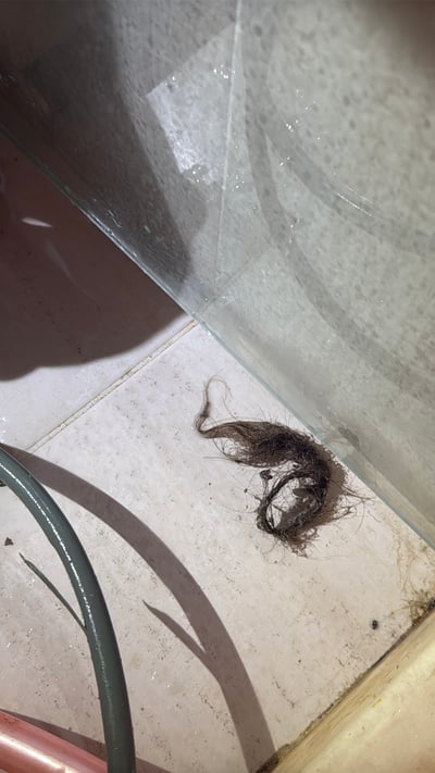 水刀通管｜台南東區浴室排水｜水刀清洗堵塞5