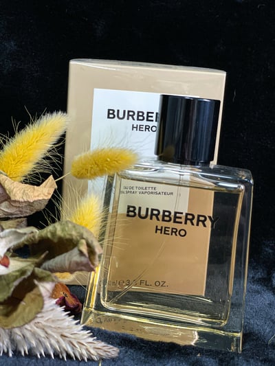Burberry Hero 英雄神話男性淡香水4