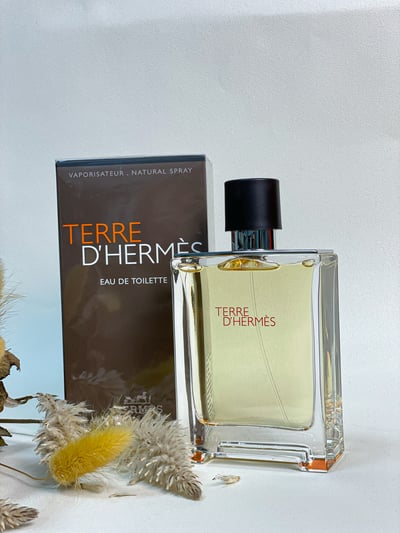 Hermes Terre D'Hermes 愛馬仕大地男性淡香水 100ML2