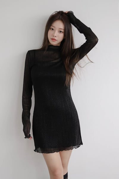 ♡正韓♡微透膚兩件長上衣2