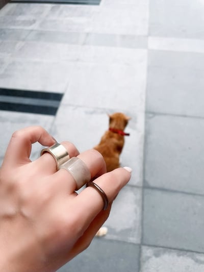 #98 紫陌 港碼13 內徑16.7mm2