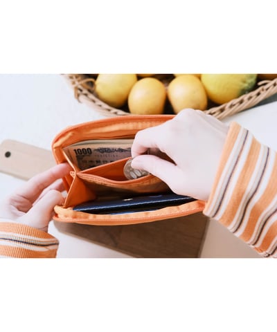 桔利 旅行護照包5