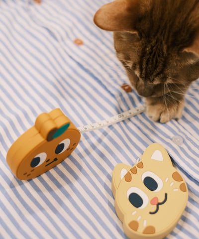 造型捲尺 / 2款5