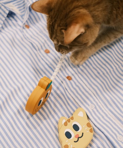 造型捲尺 / 2款6