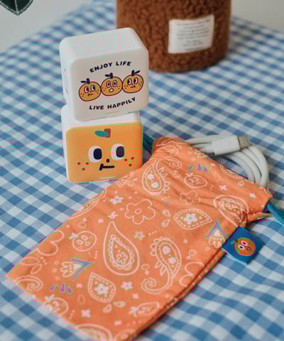 20W雙孔急速充電頭10