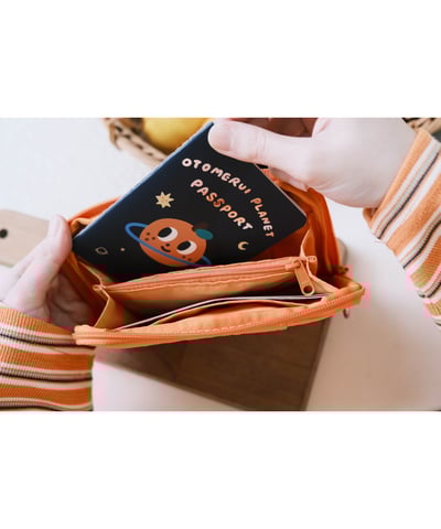 桔利 旅行護照包9