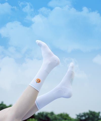 FOOTER 聯名刺繡襪 4款16