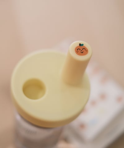 防水透明圖鑑貼紙 / 2款4