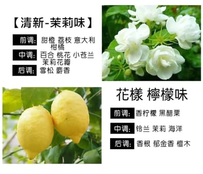 車載香薰補充片20入組7