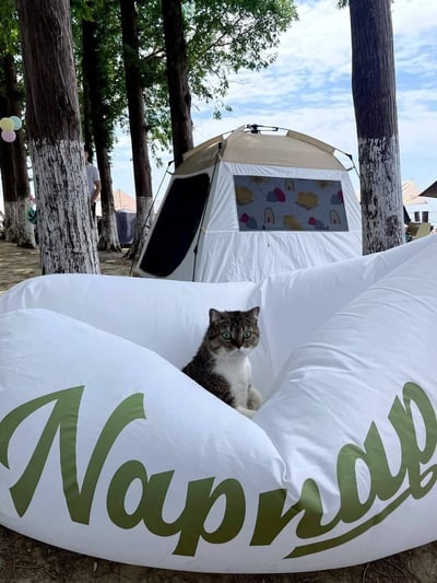 時尚野餐露營快速充氣沙發2