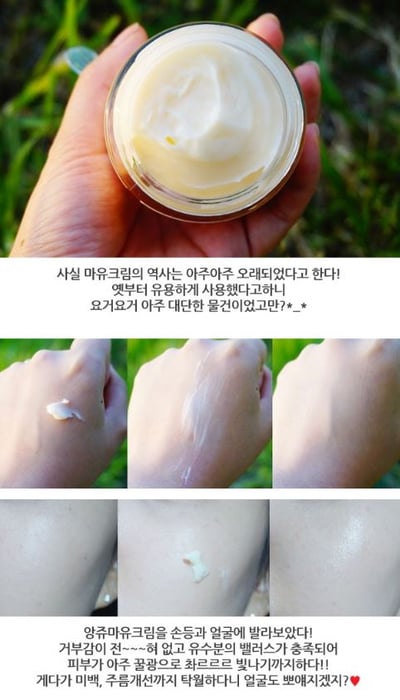 韓國 ANJO 濟州馬油瞬亮面霜 70g3