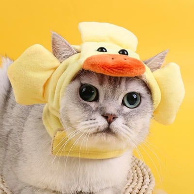 喵星人的卡哇伊保暖變身頭套   隨機出貨  現貨免運2