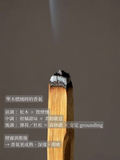 植物系手作聖木棒 兩支組 暖心清醒禮盒｜桂花 × 薄荷11