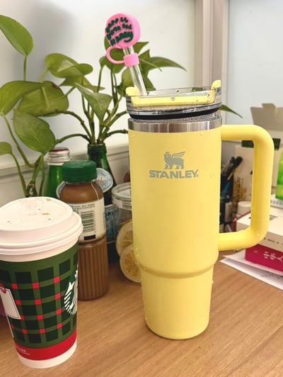 外銷訂單 哈利波特吸管套3件組6