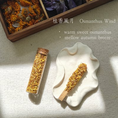 植物系手作聖木棒 兩支組 暖心清醒禮盒｜桂花 × 薄荷4