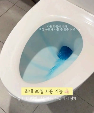 韓國 Pradera 瓶裝大容量馬桶清潔劑（附衛生掛繩) 4入/盒9