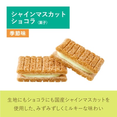 日本春夏限定Sugar Butter砂糖樹麝香葡萄夾心餅乾禮盒 12入6