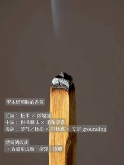 植物系手作聖木棒3支組 聖誕限定系列11