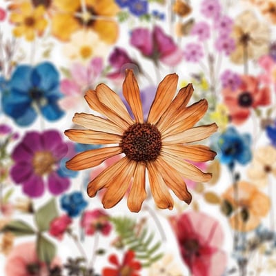 ins風小清新花卉 PET貼紙100入乾花素材貼紙7