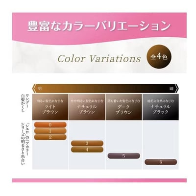 4/7結單 日本 宣若  白髮遮瑕補染梳（黑色 / 深棕 / 淺棕 / 自然棕5