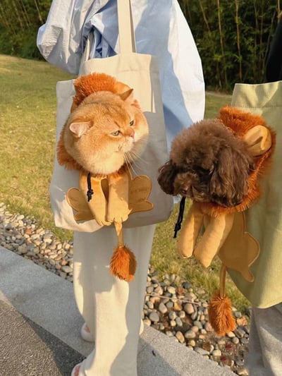 露頭手提透氣小型寵物獅子帆布外出包2