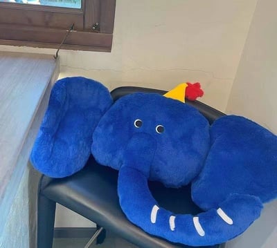 療癒感滿滿 INS風象寶寶靠墊靠枕5