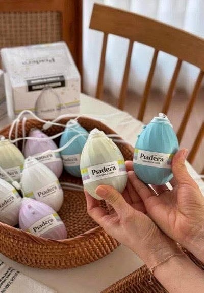 韓國 Pradera 瓶裝大容量馬桶清潔劑（附衛生掛繩) 4入/盒1