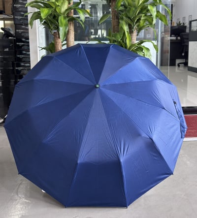 156骨全自動晴雨傘｜大傘面・抗風・防曬・一鍵開收 9/4結單9
