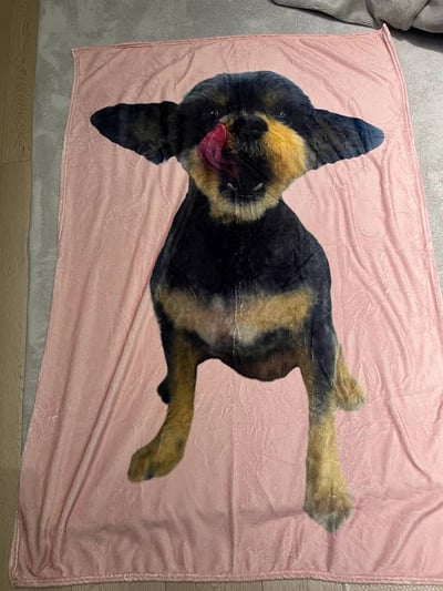 專屬你的療癒毯 寵物人物專屬圖像訂製毯單圖款4