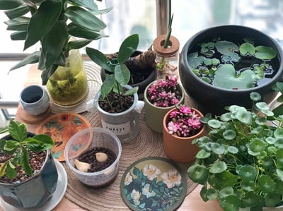 Ins風世界名畫系列隔熱吸水珪藻墊2