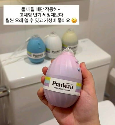韓國 Pradera 瓶裝大容量馬桶清潔劑（附衛生掛繩) 4入/盒3