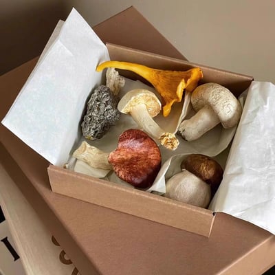 INS風餐桌小物 法式復古小蘑菇筷子架｜彩色手工彩繪樹脂餐桌擺件1