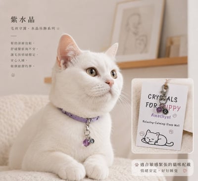 寵物溫暖療癒 毛孩守護水晶系列吊飾3