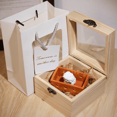 「請給我畫隻綿羊」手工木雕擺件 小王子經典箱中綿羊造型禮盒5