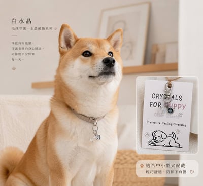 寵物溫暖療癒 毛孩守護水晶系列吊飾2