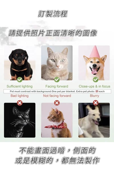 專屬你的療癒毯 寵物人物專屬圖像訂製毯多圖款8