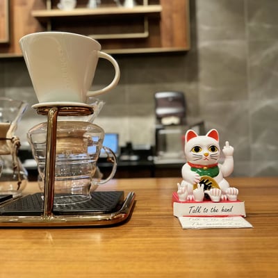 不爽也要招財 LUCKYCAT 搞怪豎中指招財貓擺件2