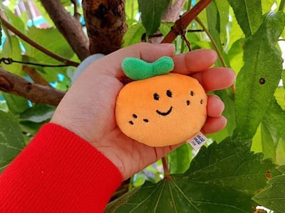 濟州島好朋友限定  橘子跟石頭吊飾4