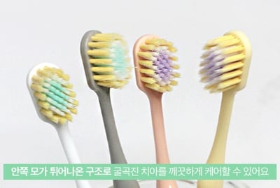 Wood Story寬口細毛牙刷12入家庭號5