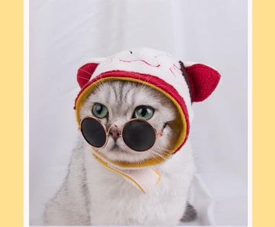 喵星人的卡哇伊保暖變身頭套   隨機出貨  現貨免運4