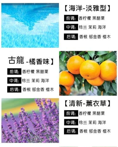 車載香薰補充片20入組8