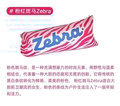 新款斑馬時尚野餐露營快速充氣沙發9