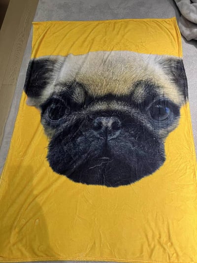 專屬你的療癒毯 寵物人物專屬圖像訂製毯單圖款3